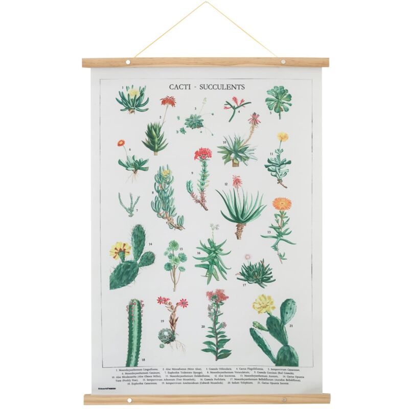 Image of Grupo Erik - Stampa su Tela - Botanical Cacti Stampa da parete su tela con cornice legno a stecche e corda per appenderla, ideale come decorazione