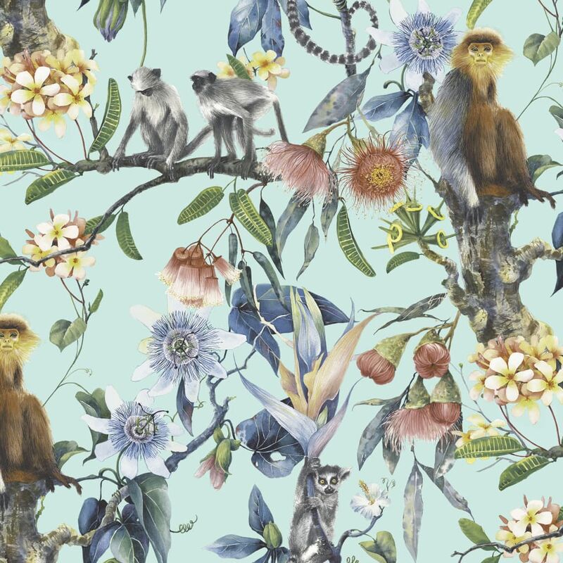 

Papel pintado Exotic Monkeys turquesa - Turquesa - Noordwand