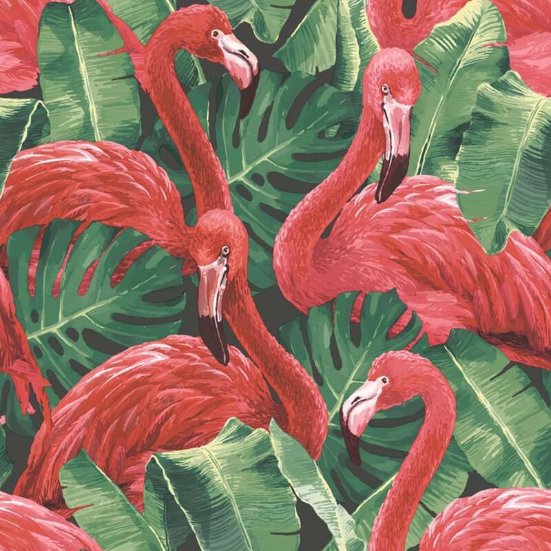 

Papel pintado Flamingo and Monstera rojo - Rojo - Noordwand