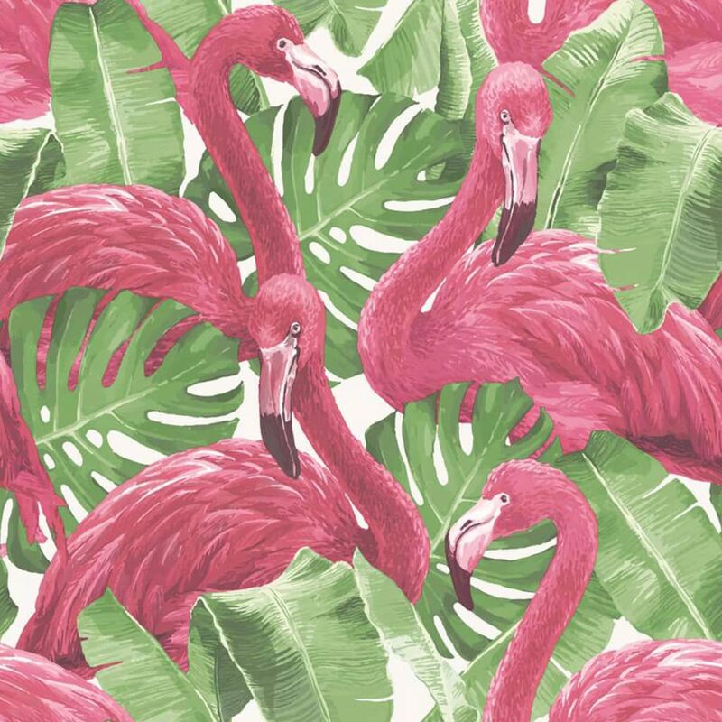 

Papel pintado Flamingo and Monstera rosa - Rosa - Noordwand