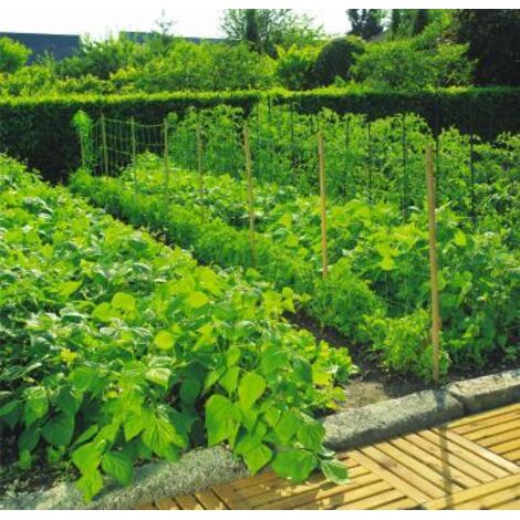 Nortene – Filet à ramer maillage polypropylène 2 x 10 m – Anti-UV pour plantes grimpantes – Installation facile – 120230