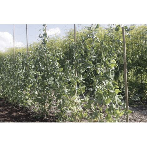 NORTENE Filet à ramer Trellinet Bio en bio compostable - 1,85 x 5 m - Vert