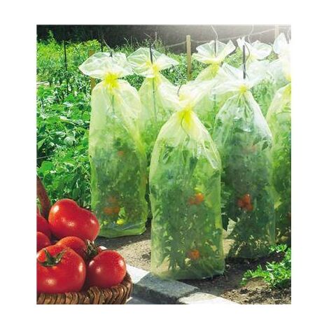 Nortene – Housse de croissance pour tomates – Gaine film perforé 10 m x 0,6 m – Protection contre intempéries – Épaisseur 50 µ pour développement optimal