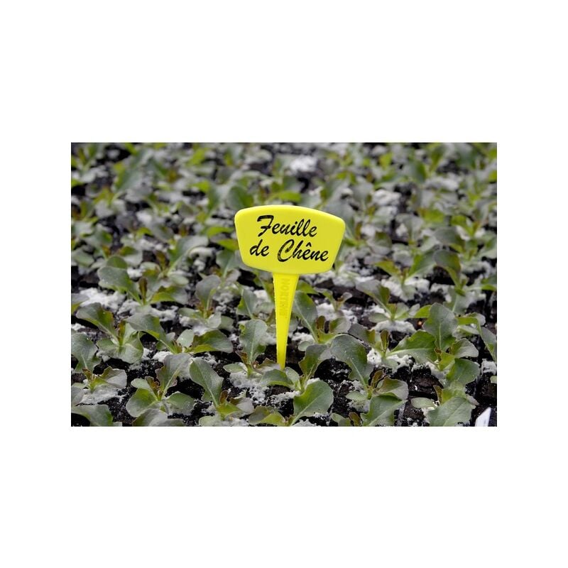

Pack 5 Etiquetas de plantación inclinadas 15 cm 35 cm