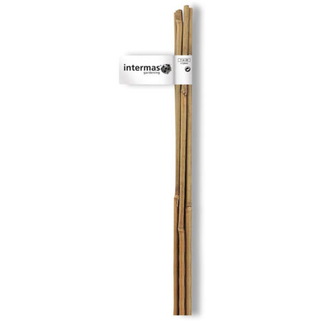 NORTENE Lot de 4 tuteurs bambou droit NORTENE H.0.9 m