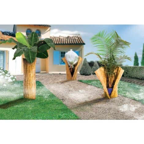 Voile d'hivernage plante palmier 150 x 500 cm 30g