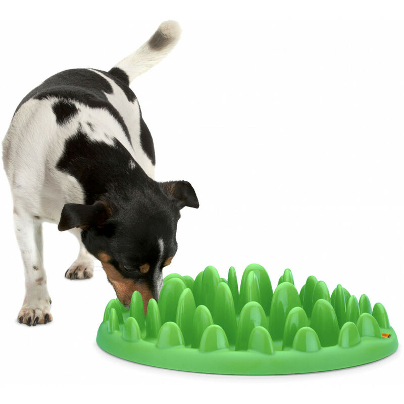 

Cuenco antigoteo. 29 cm. Mini comedero interactivo verde. para perros