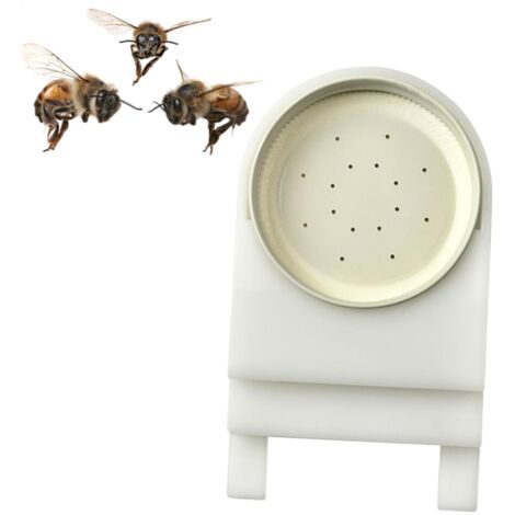 Nourrisseur d'abeilles blanches, entrée de ruche, abreuvoirs pour ruche, réserve d'eau et de miel, ruche - AquaForge