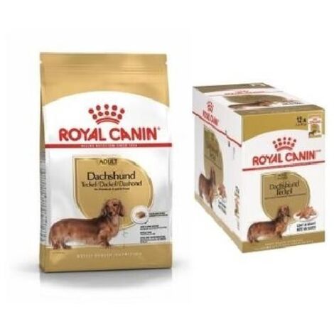 Nourriture hiro pour chiens adultes Royal Canin Teckel 12 enveloppes x 85 gr + SACO 1,5 kg