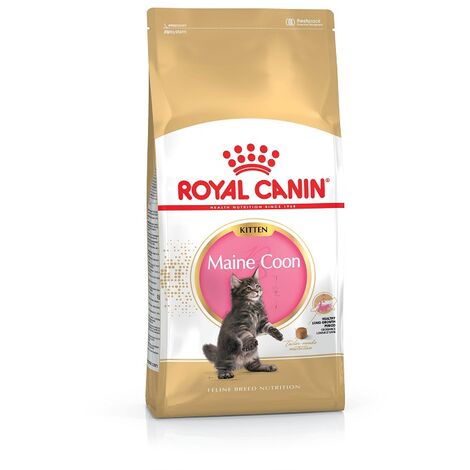 Croquettes pour chaton Royal Canin Kitten Maine Coon Sac 4 kg