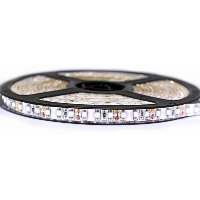 Kit Ruban Professionnel 3528 - 120 leds/m - 5 mètres Blanc froid anti-éclaboussure (IP65) Longueur: 5 mètres - Transformateur: Alimentation Non-Inclus