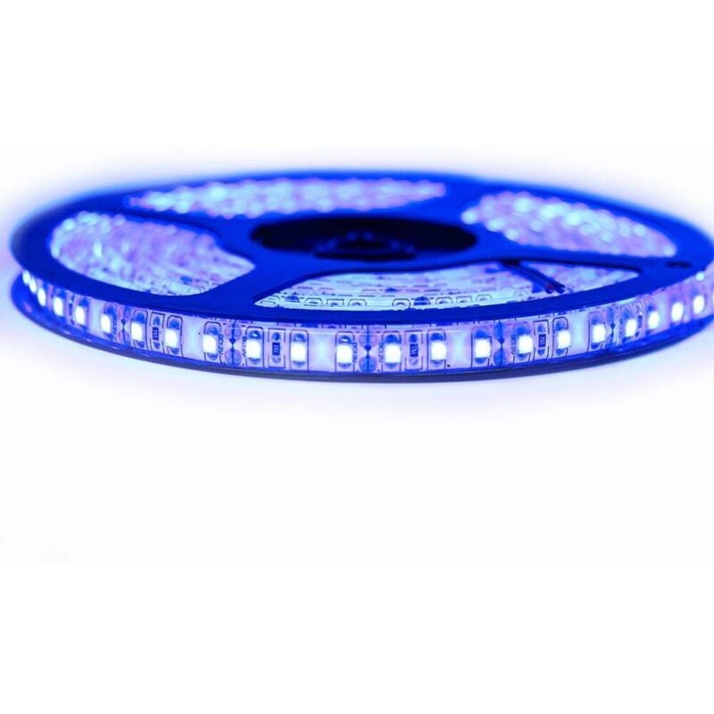 Kit Ruban Professionnel 3528 - 120 leds/m - 5 mètres bleu anti-éclaboussure (IP65) Longueur: 5 mètres - Transformateur: Alimentation Non-Inclus