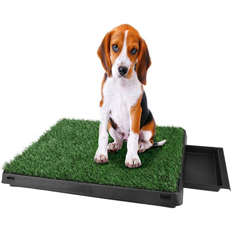 Toilettes pour animaux, Pelouse de toilette pour Chiens, Tapis pour Animaux avec plateau et Gazon Artificiel Vert en ABS 63 x 50 x 7cm