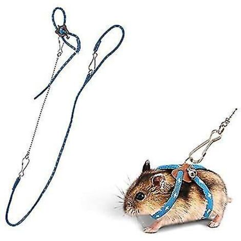 Nouveau Petit Animal Réglable Harnais Souple Laisse Oiseau Perroquet Souris Hamster Furets Rat Pet Pig Leash-bleu