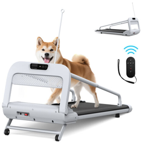 Nouveau tapis de course intelligent et silencieux pour animaux, avec vitesse réglable, pour petits et moyens chiens