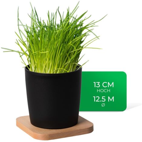 Novaliv Kräutertopf  1x Holzbrett, 1x Kräutertöpfe