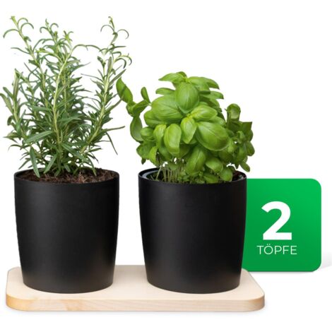 Novaliv Kräutertopf  1x Holzbrett, 2x Kräutertöpfe