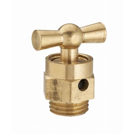 Noyon & Thiebault – Purgeur court laiton mâle M1/4 – Dimensions 08x13 mm – Tête à potence pour purge rapide – Compatible robinet et vanne d'arrêt - 339-08L1