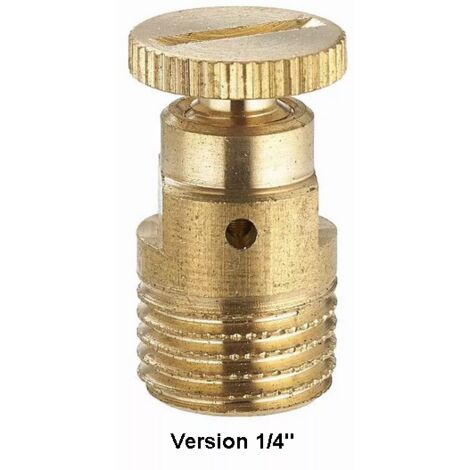 Noyon & Thiebault – Purgeur radiateur mâle 1/8' – Évacuation air pour installation – Compatible avec raccords plomberie – Référence 803585