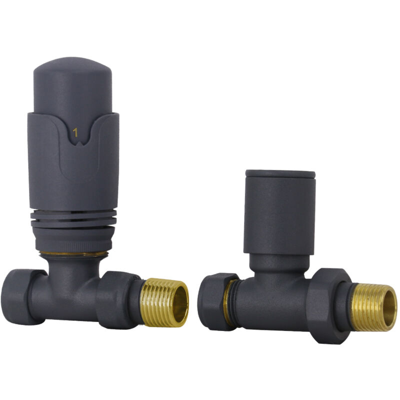 Image of Anthracite Straight trv Thermostatic Designer Radiator&hellip;