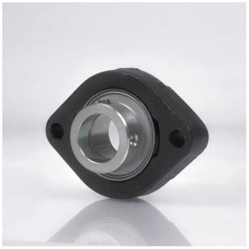 NTN - Unité de boîtier à bride M-ASFD205 Int 25mm ov.