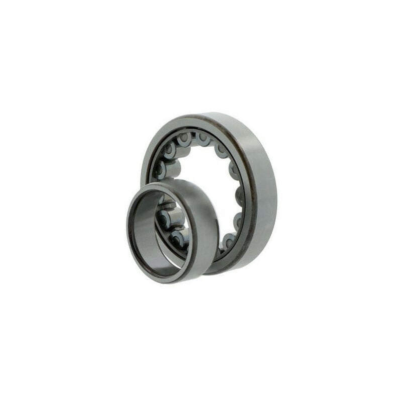 NU306 cuscinetto a rulli cilindrici ecj int. 30mm