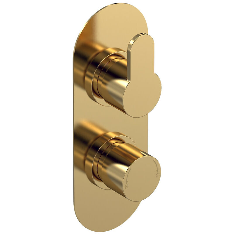 Arvan Thermostatic Concealed Shower Valve Dual Handle - Brushed Brass - Nuie