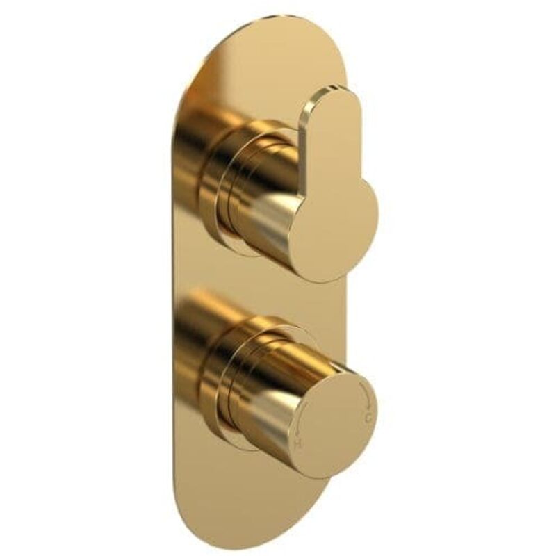 Nuie - Arvan Thermostatic Concealed Shower Valve Dual Handle - Brushed Brass