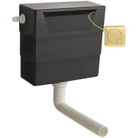 Nuie Front and Top Access Concealed Toilet Dual Flush Cistern with Brushed Brass Flush Plate