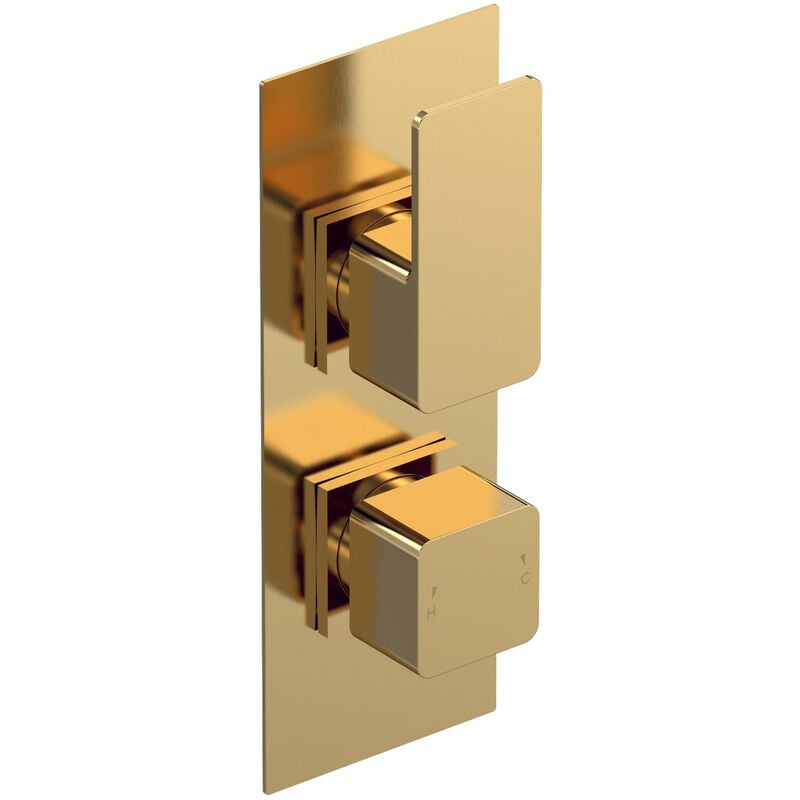 Windon Brushed Brass Twin Concealed Thermostatic Shower Valve - WIN8TW01 - Brushed Brass - Nuie