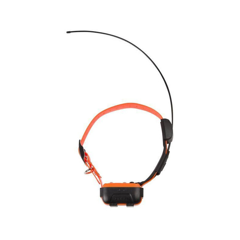 Num'axes - Collier seul Canicom gps numaxes - 2-en-1 : localisation gps + education longue portee