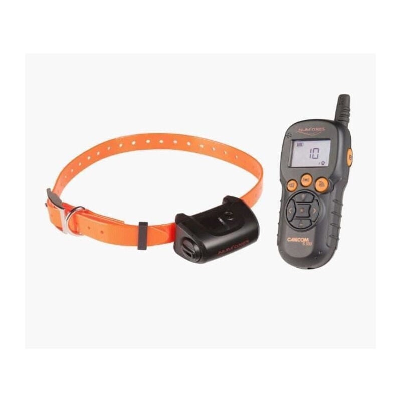 NUMAXES Ensemble de dressage CANICOM 5.500 avec une portee de 500 m - Pour 1 ou 2 chiens