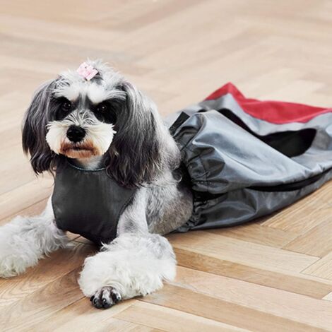 [NUNCA UTILIZADO]Ayuda para productos para mascotas: Cinturón de seguridad Pyzed para perros, proyecto antirrobo Pyzed para perros, proyecto antirrobo Pyzed para perros (XXL)