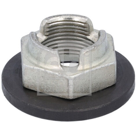 NUT 22953 FEBI