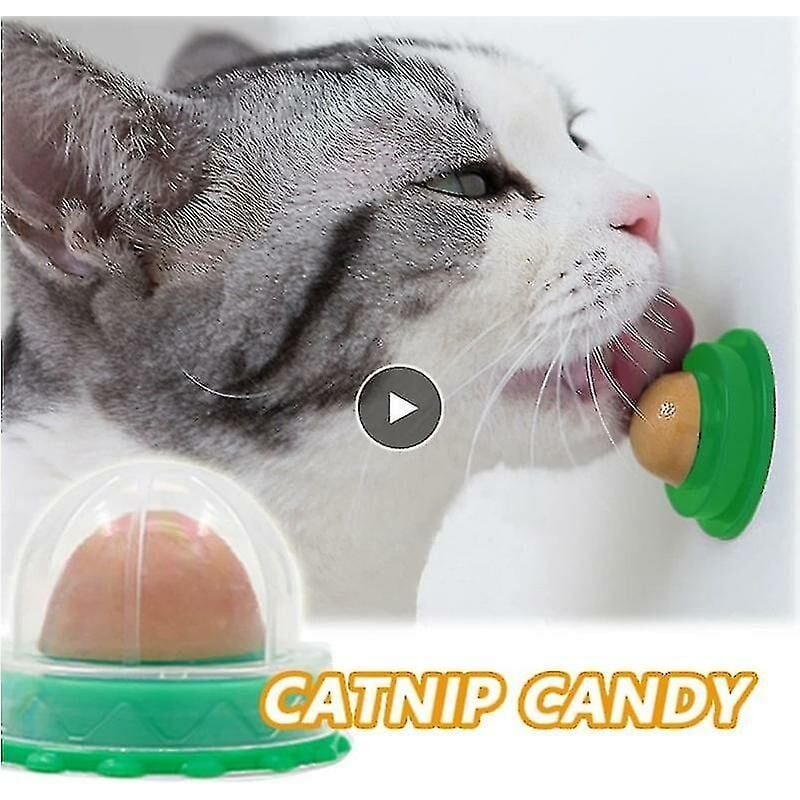 Nutrizione Gatto Catnip Palla Parapolvere Rotondo Sicuro Catnip Snack Leccare Caramelle Vitamina Budino Catnip Lollipop Per Gatto Gattino Ragdoll