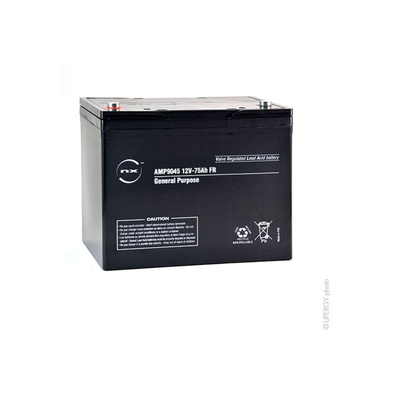 

NX - Batería plomo AGM NX 75-12 General Purpose FR 12V 75Ah M6-F