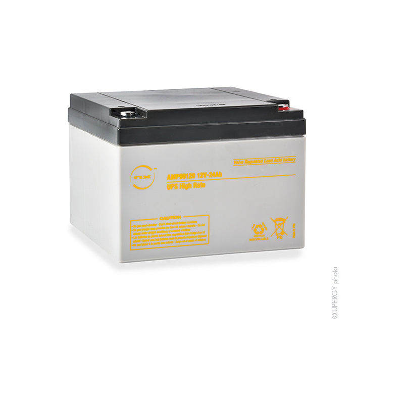 

Batería SAI 24-12 UPS High Rate 12V 24Ah M5-F - NX