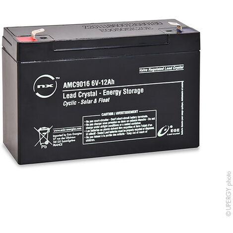 NX - Batterie lead crystal 3-CNFJ-12 6V 12Ah F6.35
