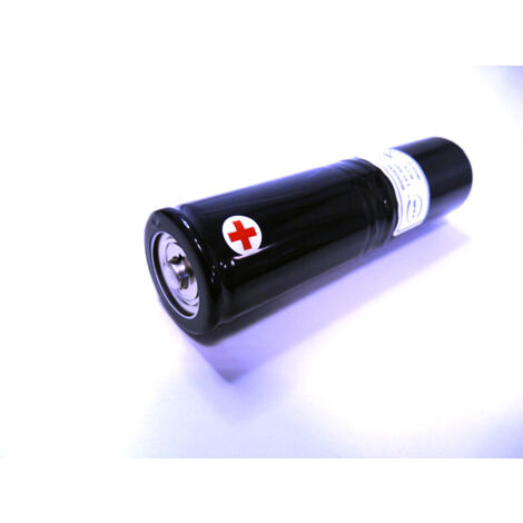 NX - Batterie NiCd ST4/SG/SANS 2.4V 4.5Ah