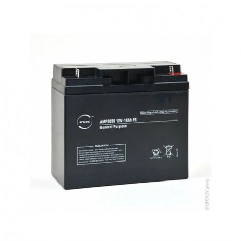 NX – Batterie plomb AGM 12V 18Ah – Technologie étanche – Connectique M6-M – Pour applications variées et performances durables - NX 18-12