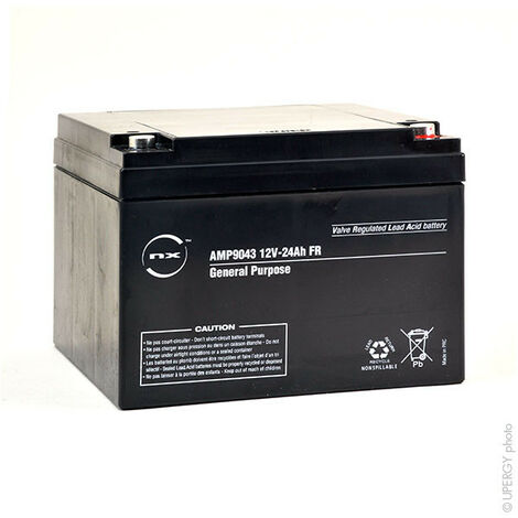 NX - Batterie plomb AGM NX 24-12 General Purpose FR 12V 24Ah M5-F