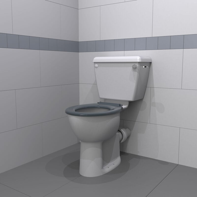 Nyma PRO Doc M Close Coupled Toilet Ware Set - Dark Grey Ring Seat - Nymas