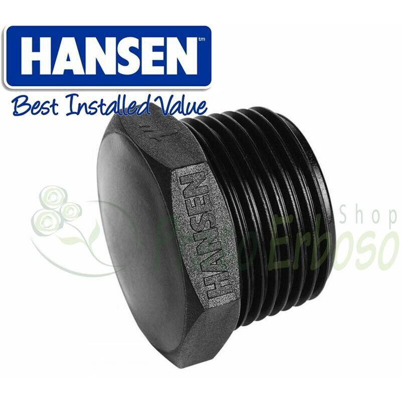 

Hansen - NYTP20 - Tapa roscada de 2'
