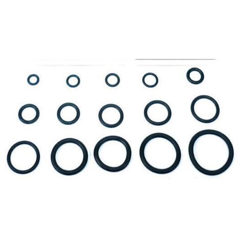 O-RING 8,00X1,90 PER FLESSIBILE MISCELATORE PZ.100