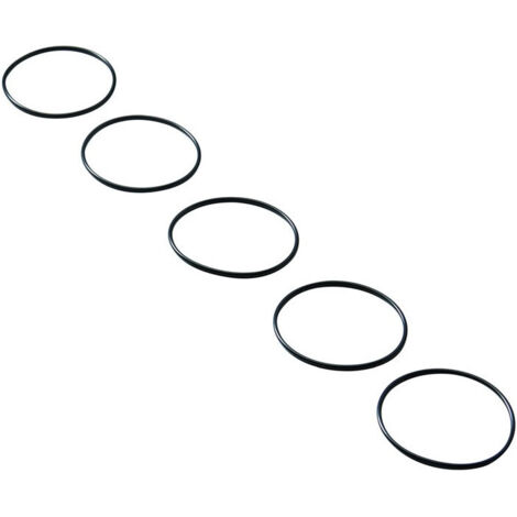 O-ring