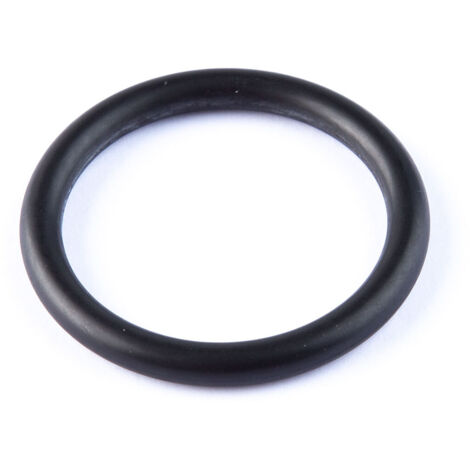 O-ring artic largo an-12 (100 unità)