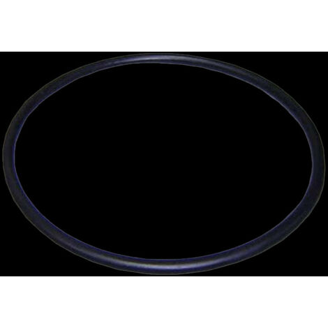 O-Ring der Vorfilterabdeckung der Astralpool-Pumpen.