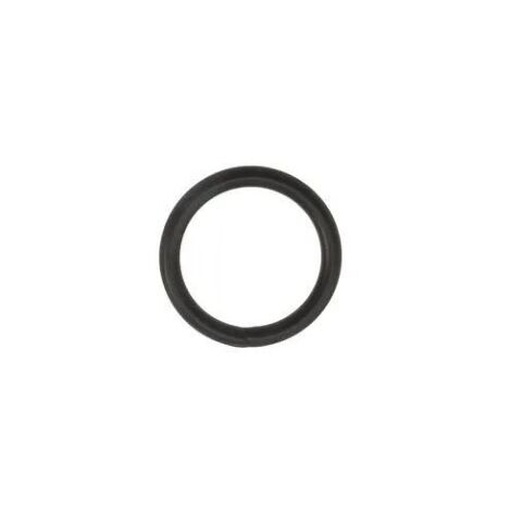 O-Ring für Entleerschraube für Speck BADU Profi