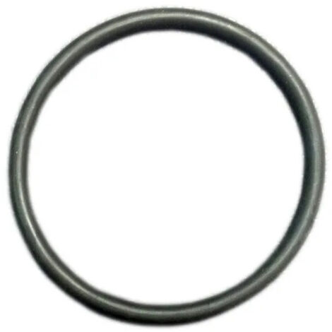 O-ring per filtro FBP/FABP34C E PSD