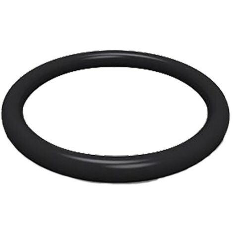 O-RING PER NIPLES M20 x 2